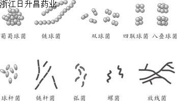 201510121354168447.jpg 201510121354168447.jpg