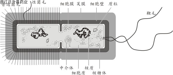 201510121354165698.jpg 201510121354165698.jpg